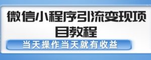 微信小程序引流变现项目教程，当天操作当天就有收益，变现不再是难事-网络创业副业兼职学习网