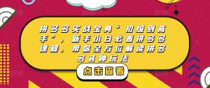 拼多多实战宝典“初级到高手”，新手小白必看拼多多课程，带你全方位解读拼多多各种玩法-网络创业副业兼职学习网