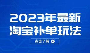 2023年最新淘宝补单玩法，18节课让教你快速起新品，安全不降权-网络创业副业兼职学习网