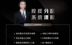 韩老师聊美业-美业股权分配系统课程，如何制定约束股东规则+老板占100%的股份+单店老板占小股份等-网络创业副业兼职学习网