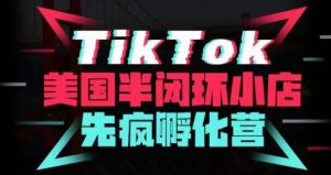 疯人院·TikTok美国半闭环小店孵化营，抢占TikTok美国蓝海市场，开店、运营、带货、投流全实操-网络创业副业兼职学习网