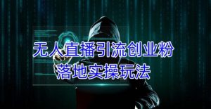 外面收费3980的无人直播引流创业粉落地实操玩法,单日引100+精准创业粉-网络创业副业兼职学习网