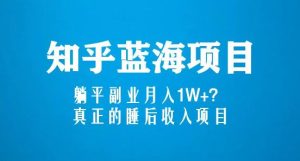 知乎蓝海玩法，躺平副业月入1W+，真正的睡后收入项目（6节视频课）-网络创业副业兼职学习网