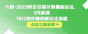 大炮·2023拼多多强付费最新玩法，3月新课​78分钟详细讲解玩法流程-网络创业副业兼职学习网