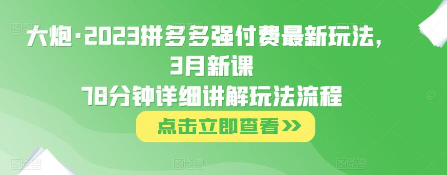 大炮·2023拼多多强付费最新玩法，3月新课​78分钟详细讲解玩法流程-网络创业副业兼职学习网