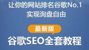 谷歌SEO实战教程:如何让你的网站在谷歌排名第一,内容从入门到高阶,适合个人及团队-网络创业副业兼职学习网