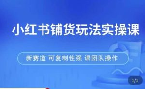 小红书铺货玩法实操课,流量大,竞争小,非常好做,新赛道,可复制性强,可团队操作-网络创业副业兼职学习网