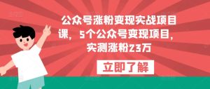 公众号涨粉变现实战项目课，5个公众号变现项目，实测涨粉23万-网络创业副业兼职学习网