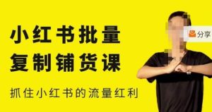 张宾·小红书批量复制铺货课,小红书0-1快速起号变现玩法,抓住小红书的流量红利(更新2023年3月)-网络创业副业兼职学习网