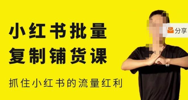 张宾·小红书批量复制铺货课,小红书0-1快速起号变现玩法,抓住小红书的流量红利(更新2023年3月)-网络创业副业兼职学习网