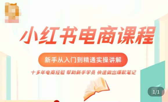 小红书电商新手入门到精通实操课,从入门到精通做爆款笔记,开店运营-网络创业副业兼职学习网