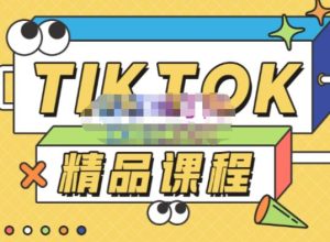 电商孵化中心·TikTok精品课程,教你玩转海外抖音,低成本创业,带您从0开始玩转TikTok-网络创业副业兼职学习网