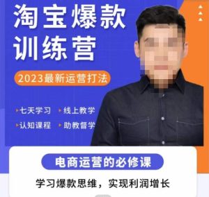 爱上黄昏·淘宝爆款训练营，2023最新运营打法，学习爆款思维，实现利润增长-网络创业副业兼职学习网