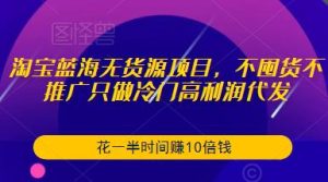 淘宝蓝海无货源项目，不囤货不推广只做冷门高利润代发，花一半时间赚10倍钱-网络创业副业兼职学习网