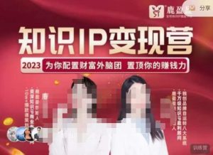 鹿盈盈-知识IP变现实操营,普通人可复制的知识产品落地实操课,带你打通知识IP变现底层逻辑-网络创业副业兼职学习网
