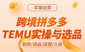 跨境拼多多TEMU实操与选品，​掌握平台运营方法技巧，选品避坑12条标准，爆款的底层思路等-网络创业副业兼职学习网