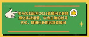 老马实战起号2023直播间全套精细化实战运营，学会正确的起号方式，精细化长期运营直播间-网络创业副业兼职学习网