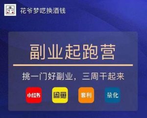 花爷-副业起跑营第2期，挑一门好副业，三周干起来（闲鱼｜小红书｜量化｜套利）-网络创业副业兼职学习网