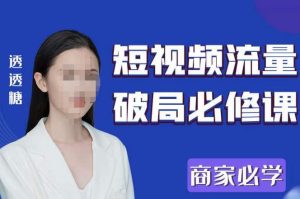 2023最新透糖短视频流量破局必修课——商家必学-网络创业副业兼职学习网