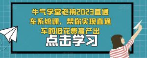 牛气学堂老衲2023直通车系统课,帮你实现直通车的低花费高产出-网络创业副业兼职学习网