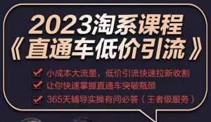 2023直通车低价引流玩法课程,小成本大流量,低价引流快速拉新收割,让你快速掌握直通车突破瓶颈-网络创业副业兼职学习网