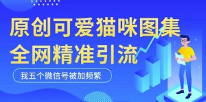 黑科技纯原创可爱猫咪图片，全网精准引流，实操5个VX号被加频繁-网络创业副业兼职学习网