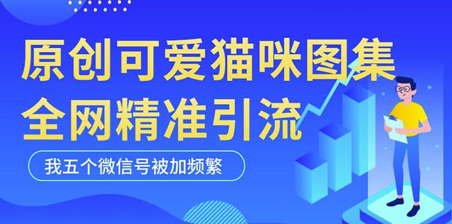 黑科技纯原创可爱猫咪图片，全网精准引流，实操5个VX号被加频繁-网络创业副业兼职学习网