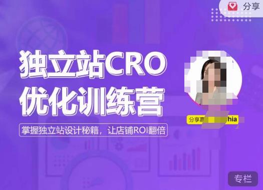 独立站CRO优化训练营，掌握独立站设计秘籍，打造高转化的独立站，让店铺ROI翻倍-网络创业副业兼职学习网