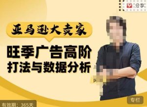 阿甘·亚马逊大卖家广告高阶打法与数据分析，走出传统广告误区；揭秘大卖惯用打法；数据驱动广告决策-网络创业副业兼职学习网