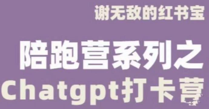 谢无敌ChatGPT打卡营，教你更好地使用ChatGPT来提高工作效率-网络创业副业兼职学习网