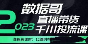 数据哥2023直播电商巨量千川付费投流实操课,快速掌握直播带货运营投放策略-网络创业副业兼职学习网