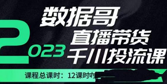 数据哥2023直播电商巨量千川付费投流实操课,快速掌握直播带货运营投放策略-网络创业副业兼职学习网