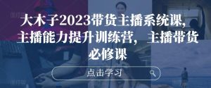 大木子2023带货主播系统课,主播能力提升训练营,主播带货必修课-网络创业副业兼职学习网