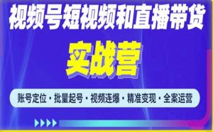 2023最新微信视频号引流和变现全套运营实战课程,小白也能玩转视频号短视频和直播运营-网络创业副业兼职学习网