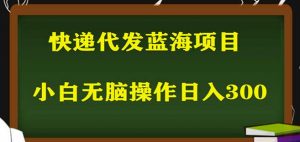 2023最新蓝海快递代发项目，小白零成本照抄也能日入300+-网络创业副业兼职学习网