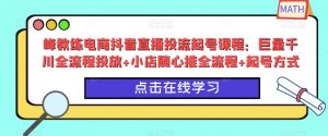 峰教练电商抖音直播投流起号课程:巨量千川全流程投放+小店随心推全流程+起号方式-网络创业副业兼职学习网