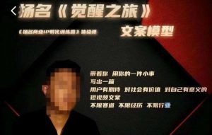 王扬名·《觉醒之旅》文案模型，​带着你用你的一件小事，对自己有意义的短视频文案-网络创业副业兼职学习网