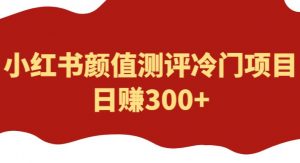外面1980的项目，小红书颜值测评冷门项目，日赚300+【揭秘】-网络创业副业兼职学习网