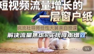 任性大舅·宠物行业短视频运营课(不讲废话)，短视频流量增长的一层窗户纸，解决流量焦虑&实现降本增效-网络创业副业兼职学习网