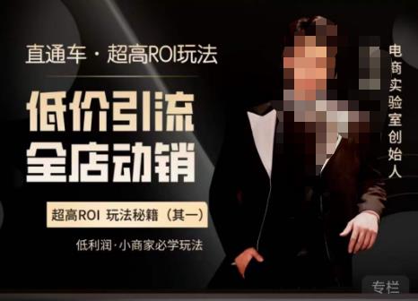 电商冰可乐·直通车·《低价引流·全店动销》，直通车·超高ROI玩法（其一）全店动销必学玩法-网络创业副业兼职学习网