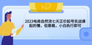 2023电商自然流七天正价起号实战课：起的慢，但是稳，小白执行即可！-网络创业副业兼职学习网