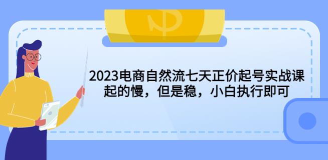 2023电商自然流七天正价起号实战课：起的慢，但是稳，小白执行即可！-网络创业副业兼职学习网