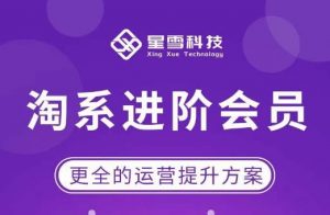 星雪·淘系进阶课程，快速提升突破技能流量瓶颈必备（更新2023年5月）-网络创业副业兼职学习网