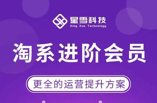 星雪·淘系进阶课程，快速提升突破技能流量瓶颈必备（更新2023年5月）-网络创业副业兼职学习网