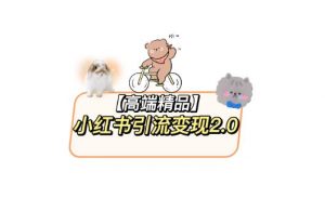 小红书最新引流变现教程，全网最新最详细的视频教程以及素材-网络创业副业兼职学习网