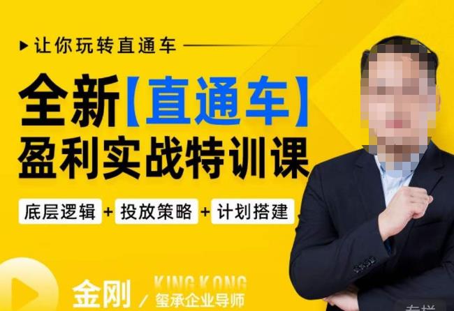 玺承·全新直通车盈利实战特训课,从底层逻辑详细拆解,从底层,策略到搭建,让你玩转直通车-网络创业副业兼职学习网