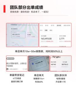 2023小红书电商火爆全网,新晋红利,风口项目,单店收益在3000-30000!-网络创业副业兼职学习网