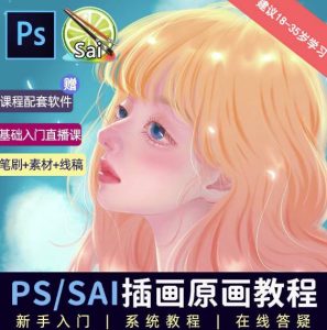 价值1288的原画插画教程零基础CG漫画SAI线稿笔刷手绘画数位板绘视频课程-网络创业副业兼职学习网