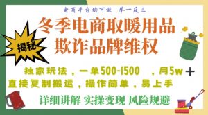 利用电商平台冬季销售取暖用品欺诈行为合理制裁店铺，单日入900+【仅揭秘】-网络创业副业兼职学习网