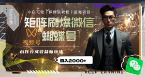 矩阵刷爆微信蝴蝶号创作者分成计划收益的新玩法，日入2000+【揭秘】-网络创业副业兼职学习网